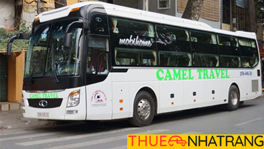 [Review] Xe TM Camel Tuyến Đà Nẵng Nha Trang Từ A - Z [MỚI 2025]