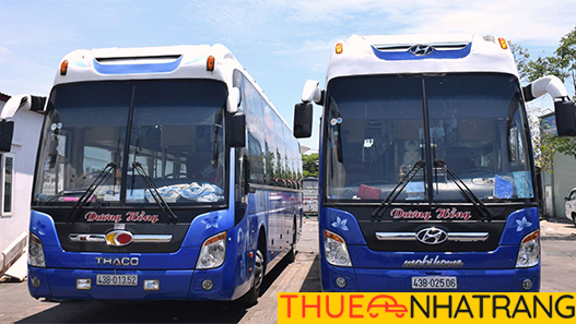 [Review] Xe Dương Hồng Tuyến Đà Nẵng Nha Trang Từ A - Z [MỚI 2025]