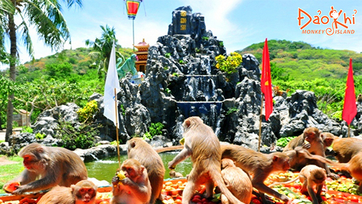 [Bỏ Túi 10+] Kinh Nghiệm Đi Đảo Khỉ Nha Trang Từ A - Z
