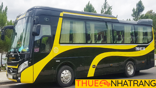 [Review] Xe DaLat Open Tuyến Đà Lạt Nha Trang Từ A - Z!