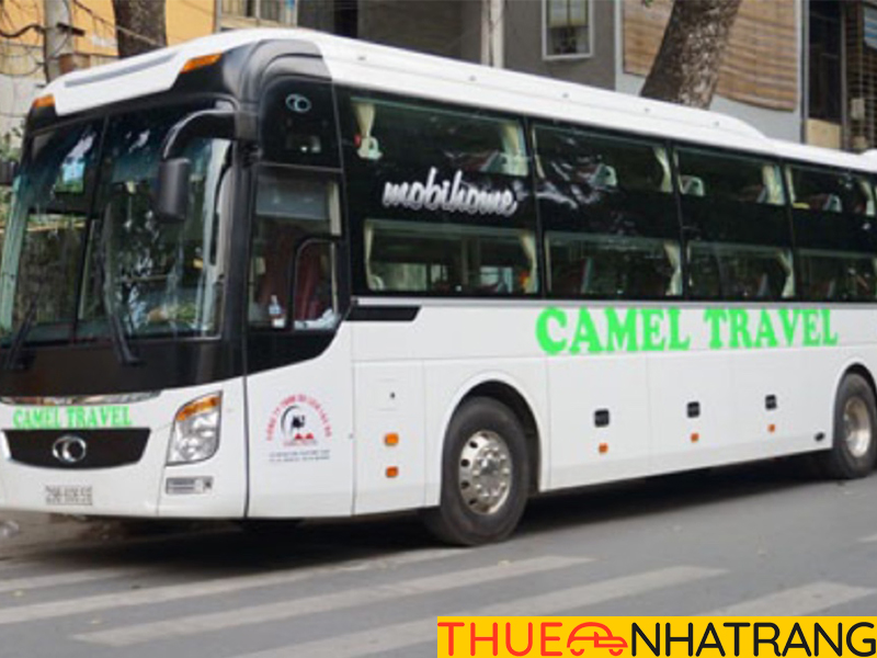 Bến xe T M Camel Nha Trang