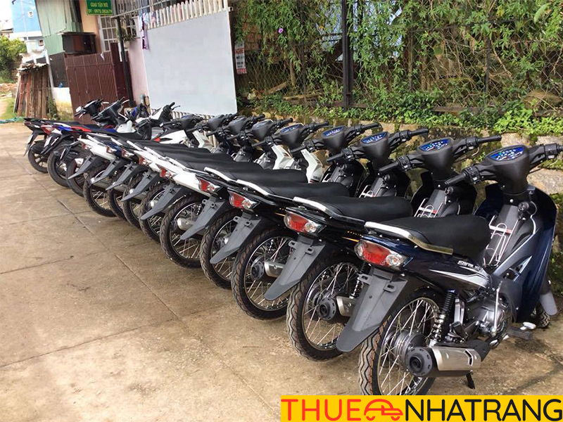 Thuê xe máy Nha Trang giá rẻ