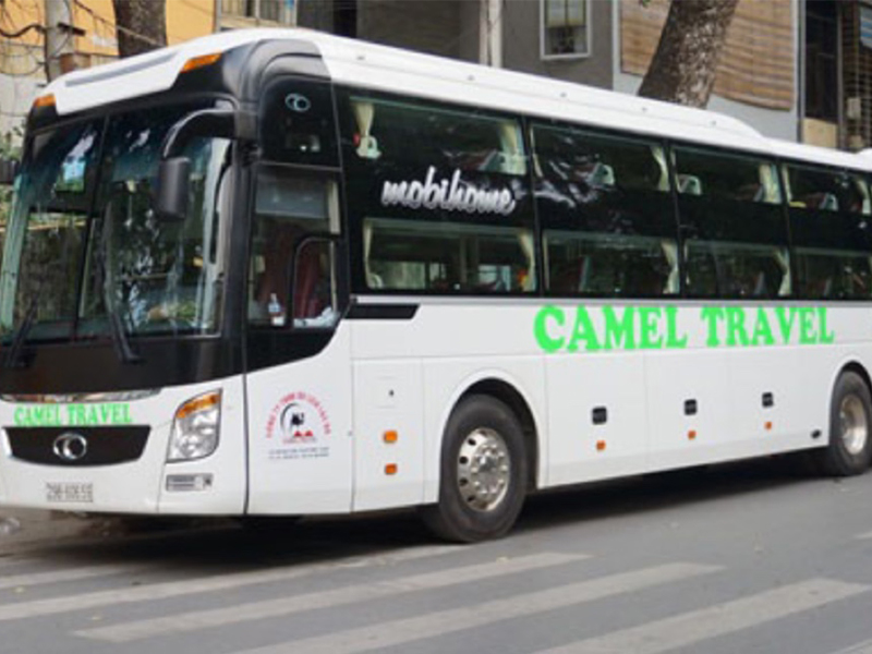 Xe TM Camel